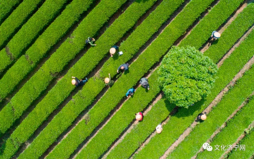 微信圖片_2020060809590918.jpg 微信圖片_2020060809590918.jpg