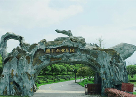 湘豐茶業獲評湖南農業優勢特色產業30強企業
