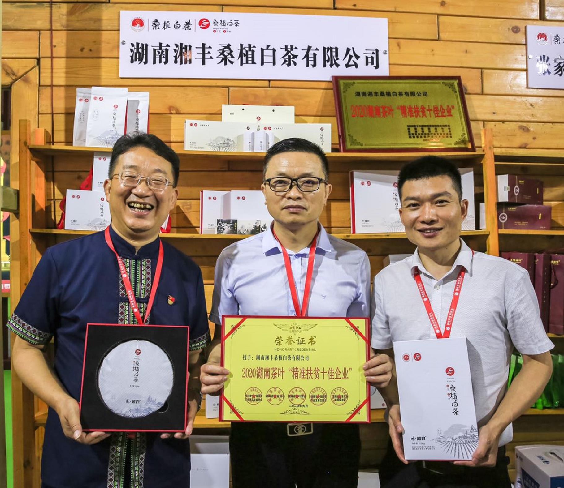 榮耀三連！湘豐桑植白茶再獲金獎