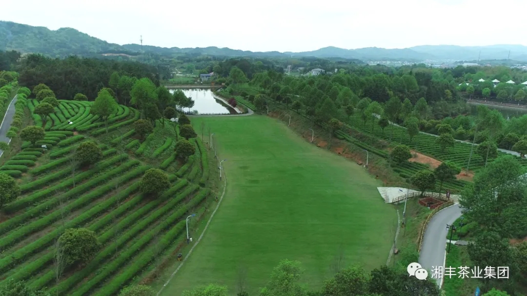 微信圖片_2020111910545413.jpg 微信圖片_2020111910545413.jpg