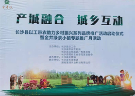 好喝更好看！湘豐茶業(yè)閃耀慧潤盈商小鎮(zhèn)“金井鎮(zhèn)專題推廣月活動”