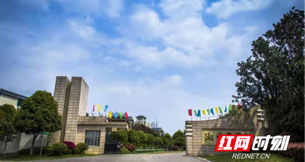 d9a7a17d-427e-4d19-b321-36bcd6080869.jpg d9a7a17d-427e-4d19-b321-36bcd6080869.jpg