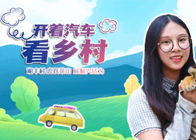 開著汽車看鄉村 |湘豐村:虎躍茶山 展振興活力 開著汽車看鄉村 |湘豐村:虎躍茶山 展振興活力