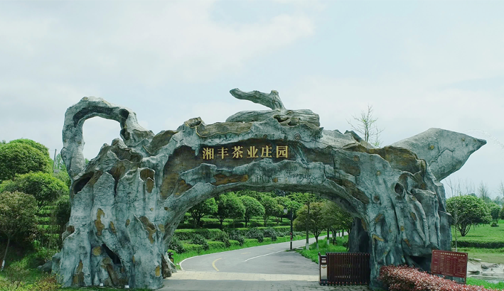 湘豐茶業(yè)莊園.png 湘豐茶業(yè)莊園.png