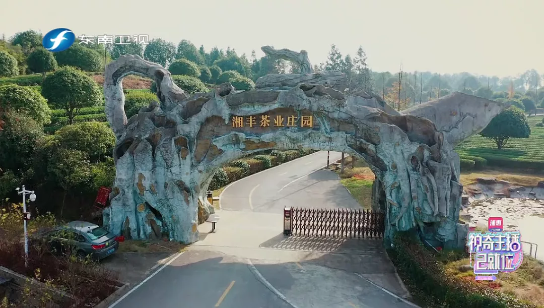 湘豐茶業(yè)莊園.png 湘豐茶業(yè)莊園.png