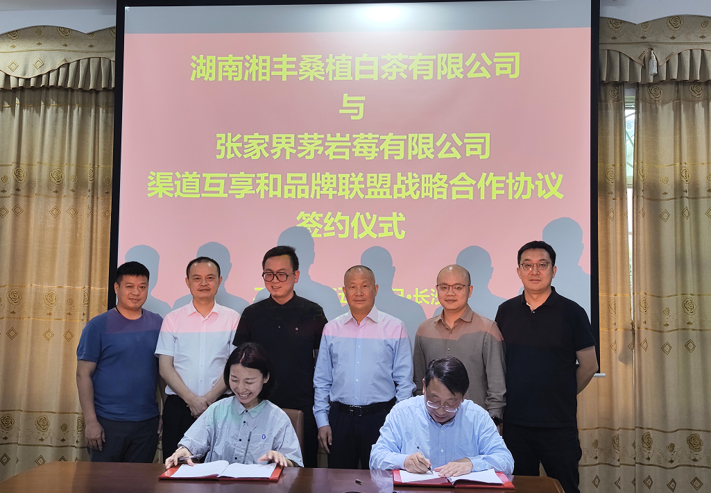 “白茶”“莓茶”牽手，品牌強(qiáng)強(qiáng)聯(lián)盟！