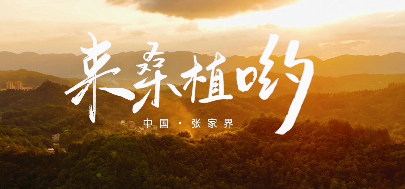 桑植推廣歌曲《來(lái)桑植喲》發(fā)布！