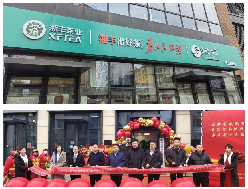 青島旗艦店盛大開業！湘豐茶業集團全國布局再下一城