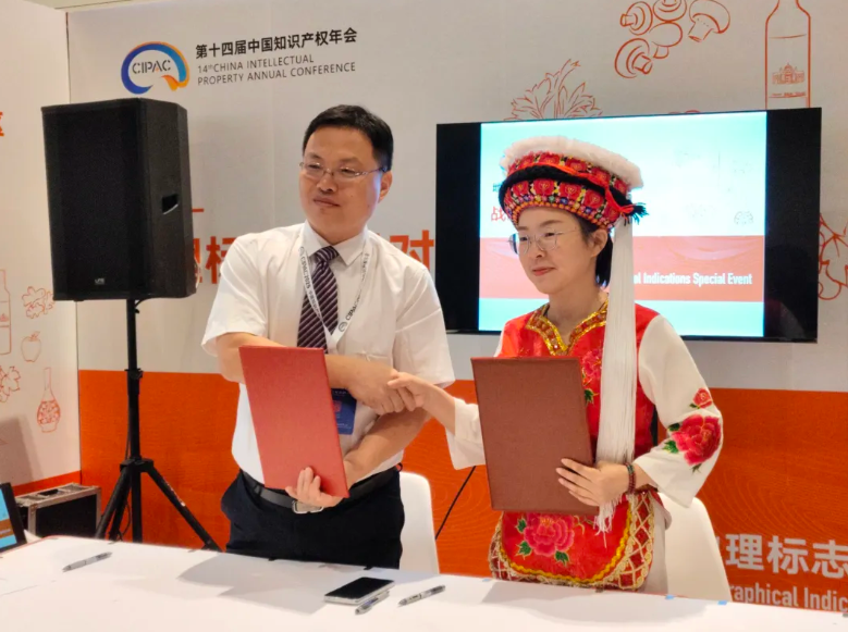 桑植白茶與海中優選達成戰略合作 桑植白茶與海中優選達成戰略合作